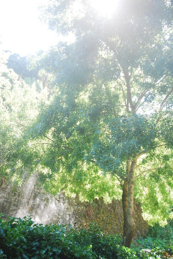 Sintra Center Guest House Escape To Nature Luaran gambar